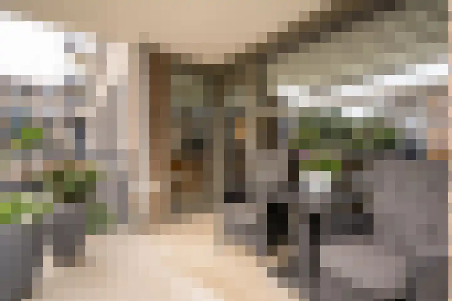 Vrijheidsstraat 2 Leerdam thumbnail 7