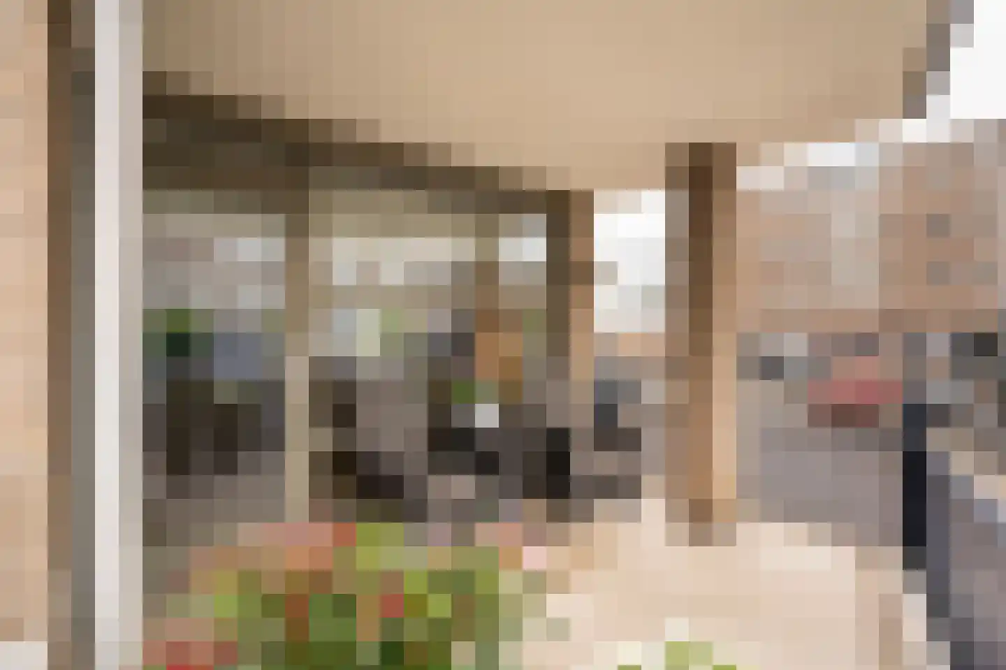 Vrijheidsstraat 2 Leerdam thumbnail 9