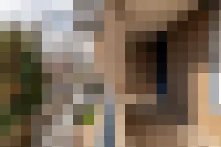 Vrijheidsstraat 20 Leerdam thumbnail 5