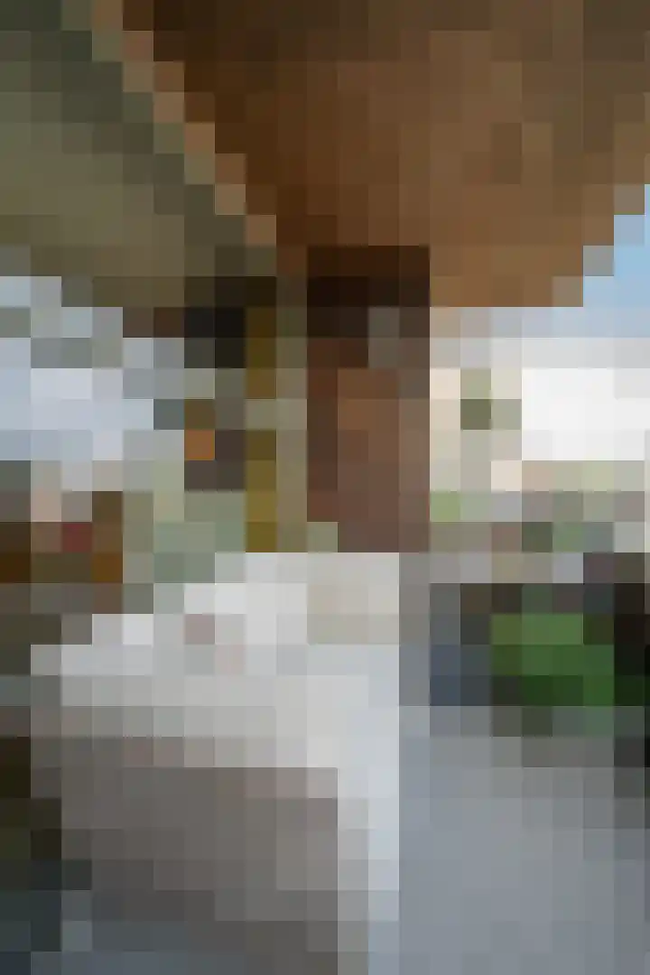 Vrijheidsstraat 28 Leerdam thumbnail 35