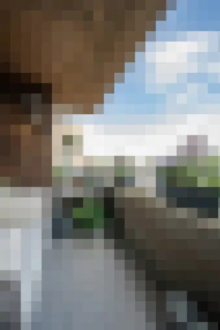 Vrijheidsstraat 28 Leerdam thumbnail 36