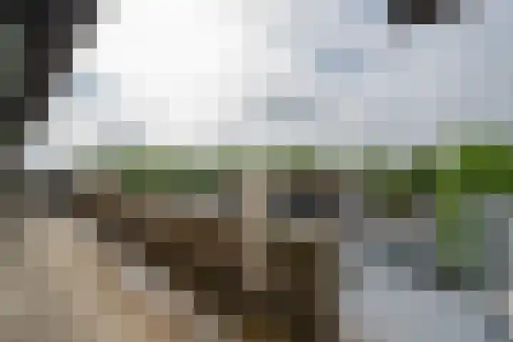 Vrijheidsstraat 28 Leerdam thumbnail 7
