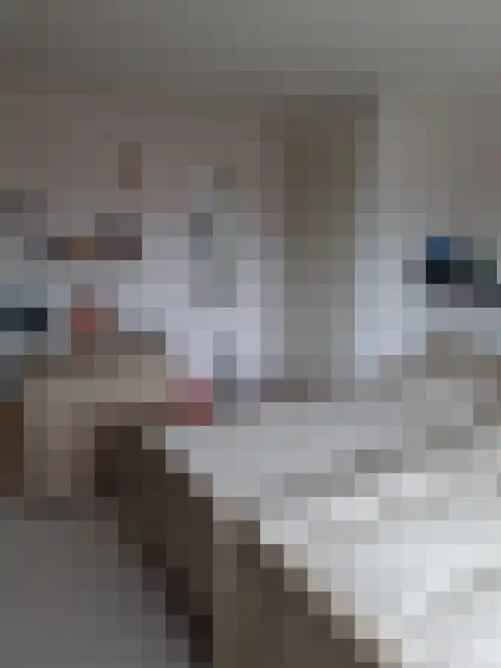 Vrijheidsstraat 39 Oude Pekela thumbnail 21