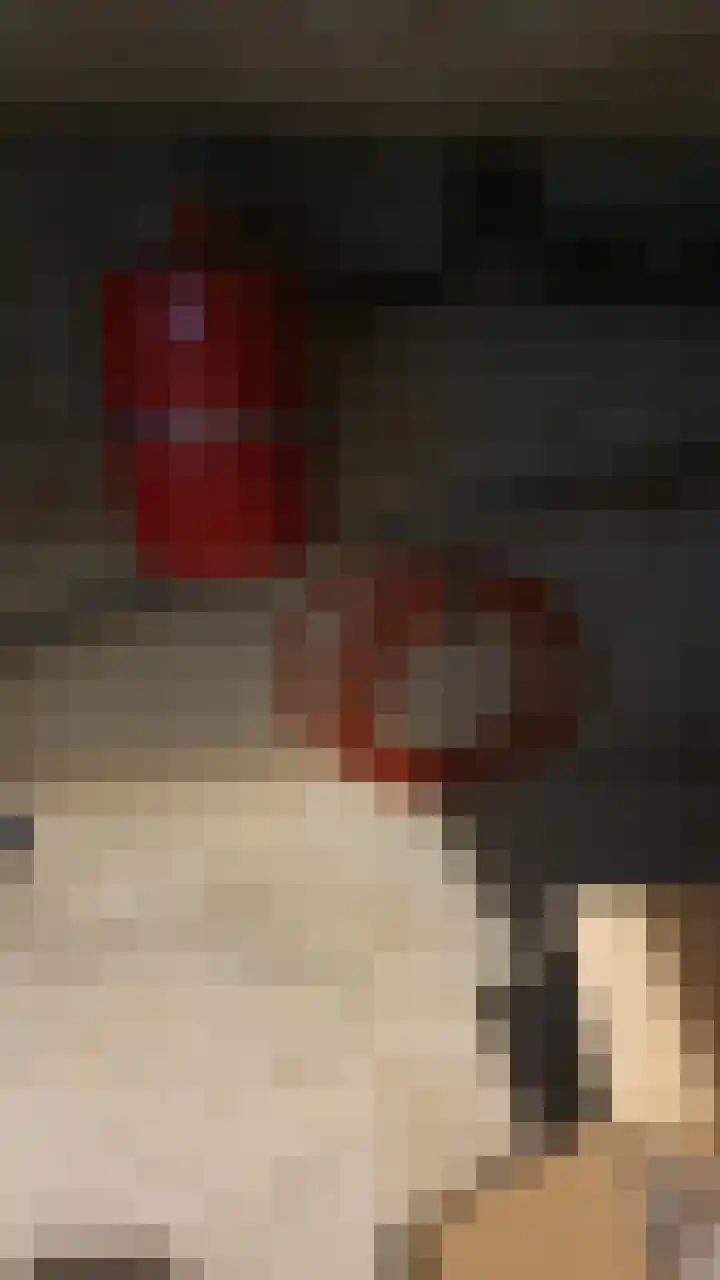 Vrijheidsstraat 39 Oude Pekela thumbnail 36
