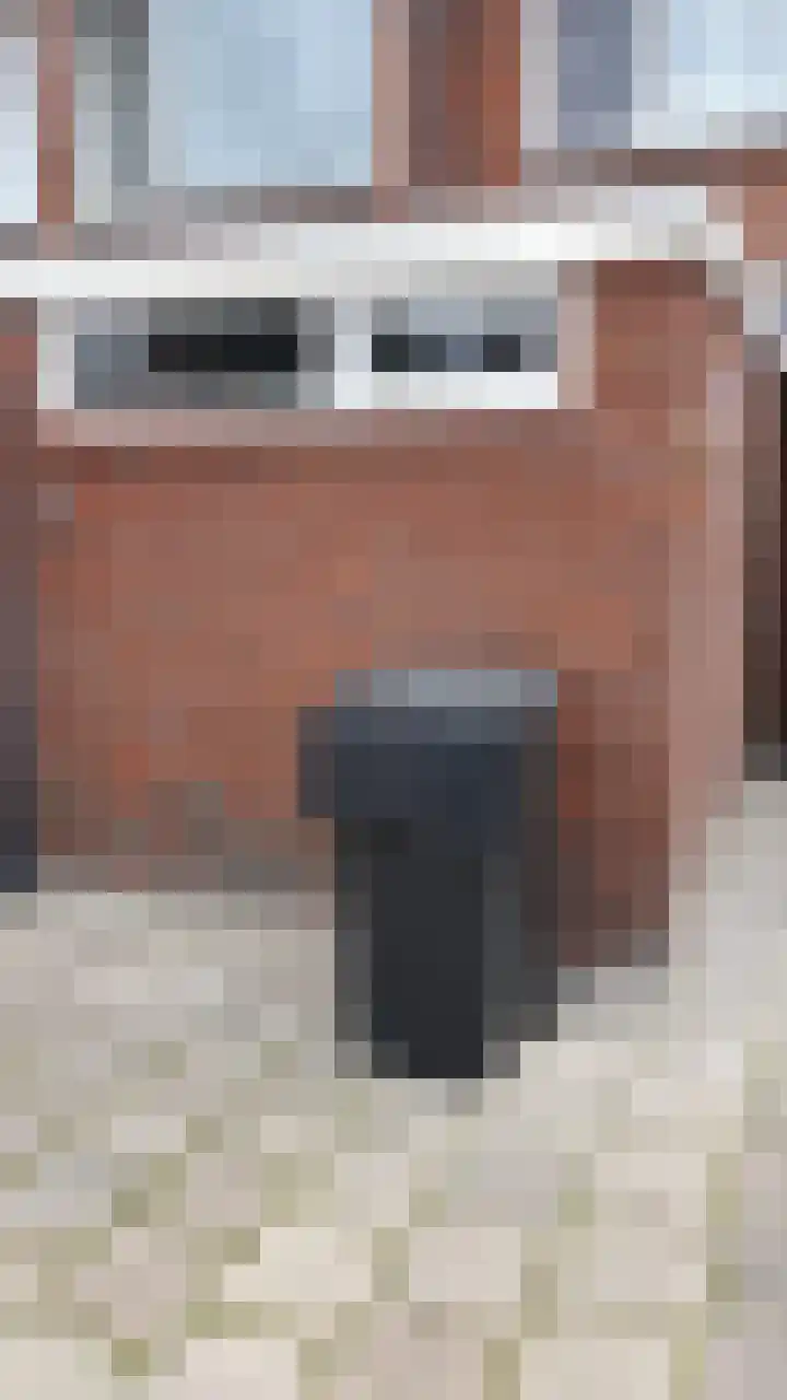 Vrijheidsstraat 39 Oude Pekela thumbnail 44