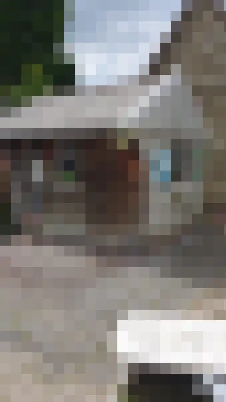 Vrijheidsstraat 39 Oude Pekela thumbnail 48