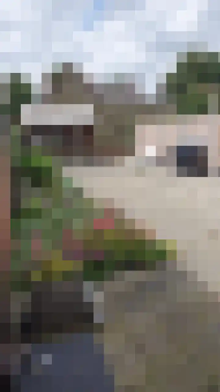 Vrijheidsstraat 39 Oude Pekela thumbnail 49