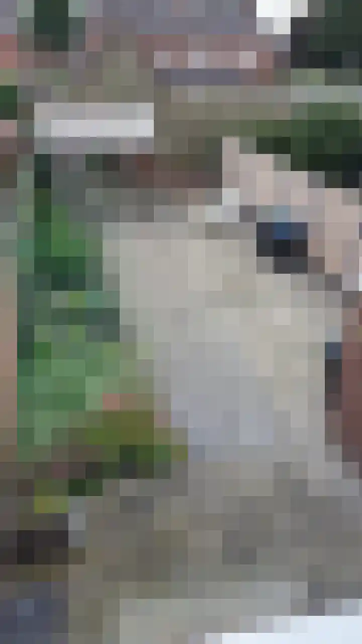Vrijheidsstraat 39 Oude Pekela thumbnail 50