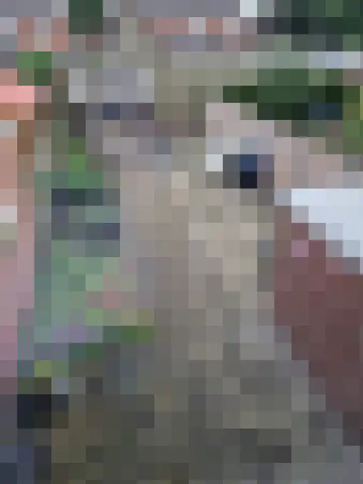 Vrijheidsstraat 39 Oude Pekela thumbnail 51
