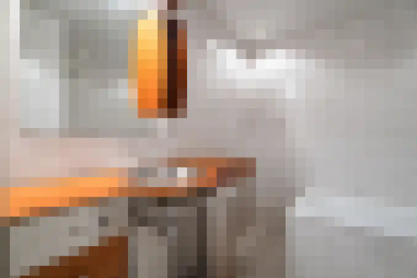 Vrijheidsstraat 4 Elburg thumbnail 34