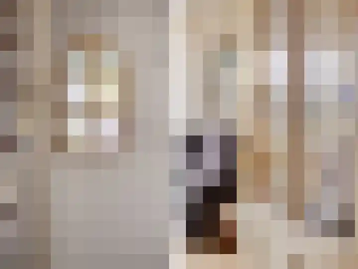 Vrijheidsstraat 5 Elburg thumbnail 14
