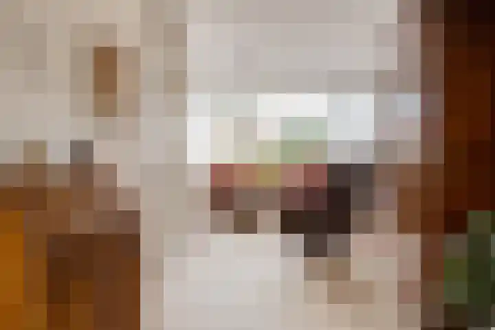 Vrijheidsstraat 5 Elburg thumbnail 21