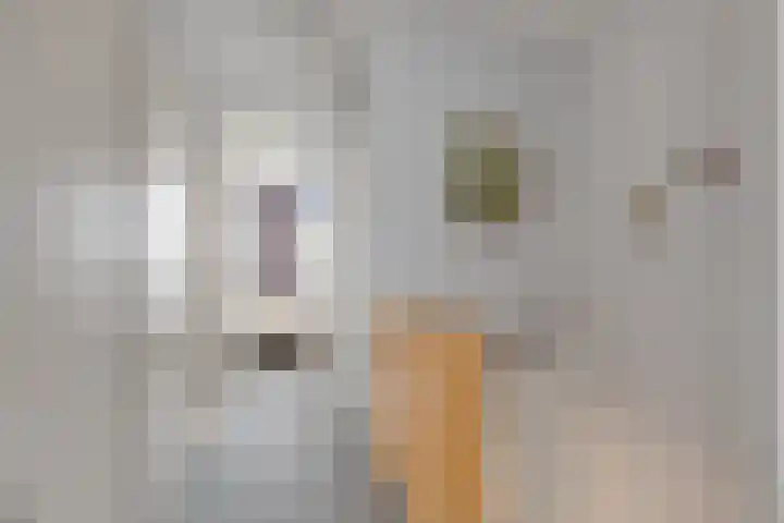 Vrijheidsstraat 5 Elburg thumbnail 30