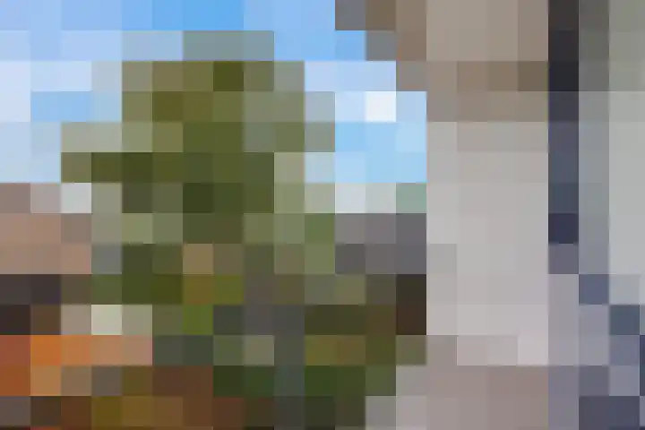 Vrijheidsstraat 5 Elburg thumbnail 34