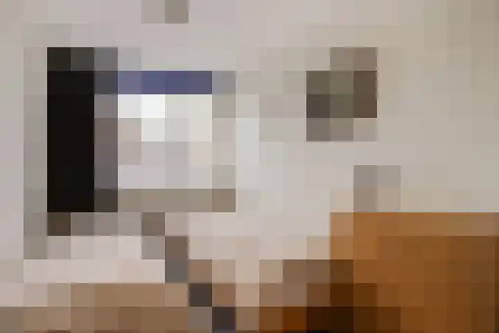 Vrijheidsstraat 5 Elburg thumbnail 38