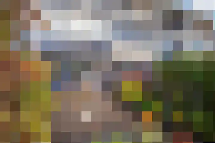 Vrijheidsstraat 5 Elburg thumbnail 44
