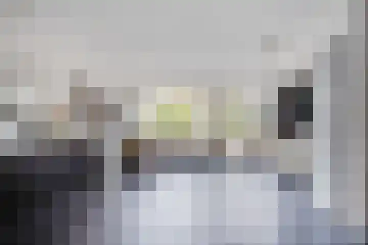 Vrijheidsstraat 5 Elburg thumbnail 5