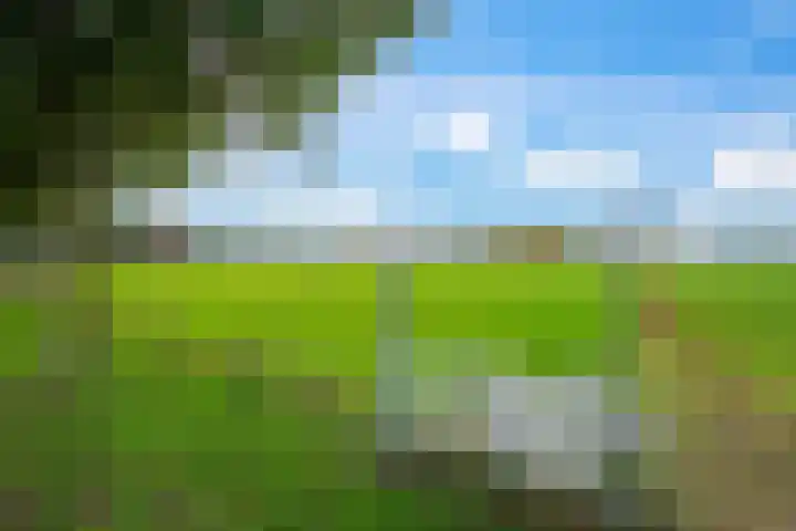 Vrijheidsstraat 5 Elburg thumbnail 51