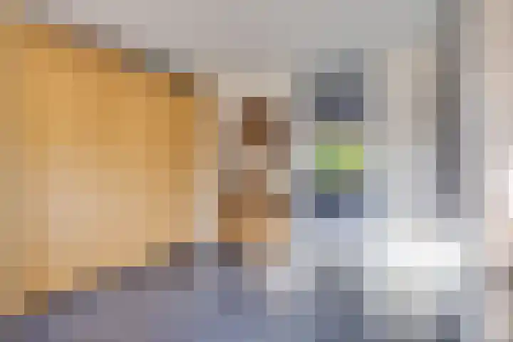 Vrijheidsstraat 5 Elburg thumbnail 9
