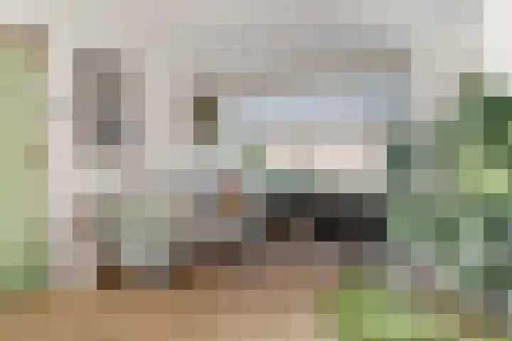 Vrijheidstraat 3 Oosterhout thumbnail 15