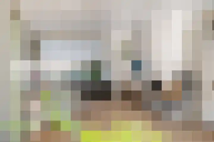 Vrijheidstraat 3 Oosterhout thumbnail 16