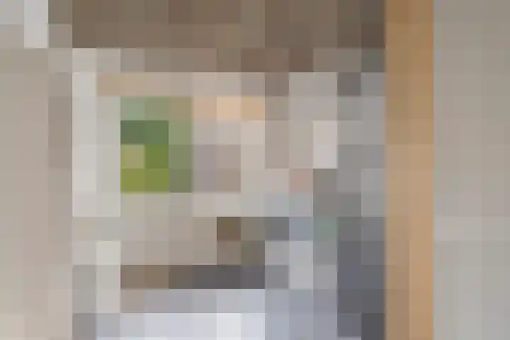 Vrijheidstraat 3 Oosterhout thumbnail 25