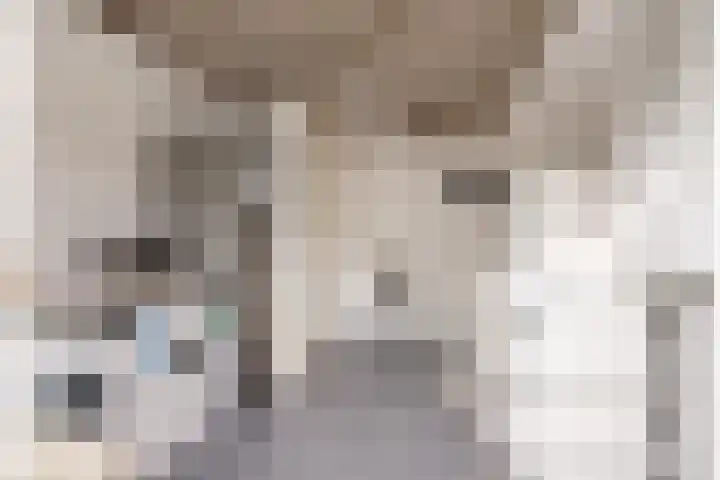 Vrijheidstraat 3 Oosterhout thumbnail 26