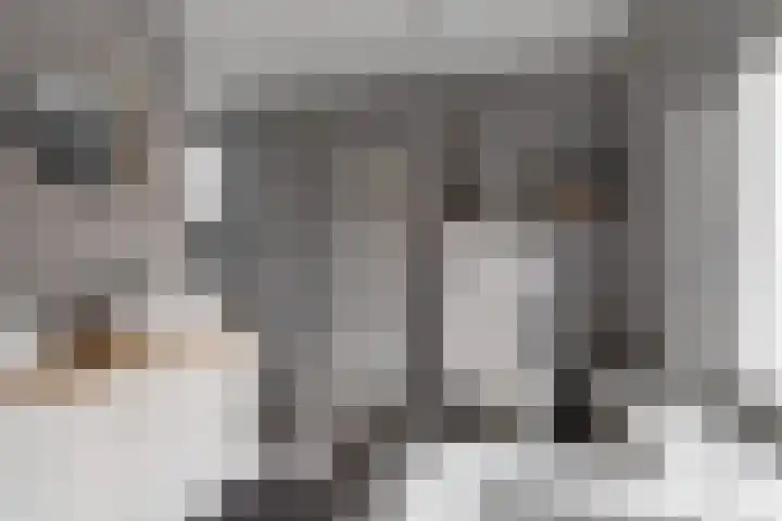 Vrijheidstraat 3 Oosterhout thumbnail 35