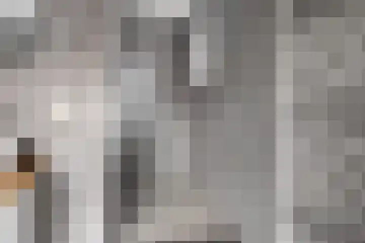 Vrijheidstraat 3 Oosterhout thumbnail 36