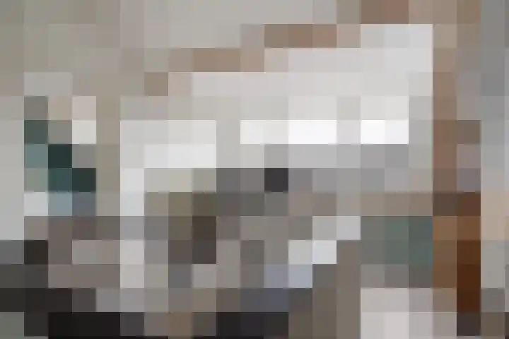 Vrijheidstraat 3 Oosterhout thumbnail 37
