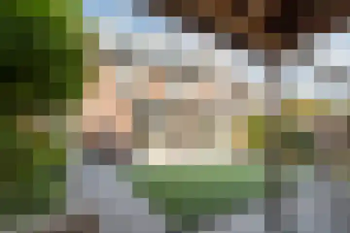 Vrijheidstraat 3 Oosterhout thumbnail 42