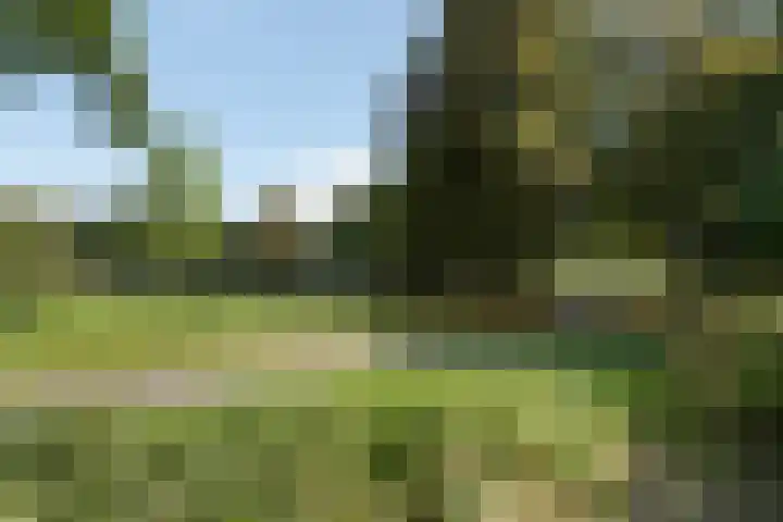 Vrijheidstraat 3 Oosterhout thumbnail 55
