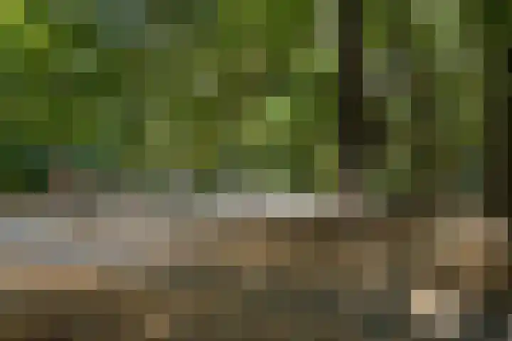 Vrijheidstraat 3 Oosterhout thumbnail 56
