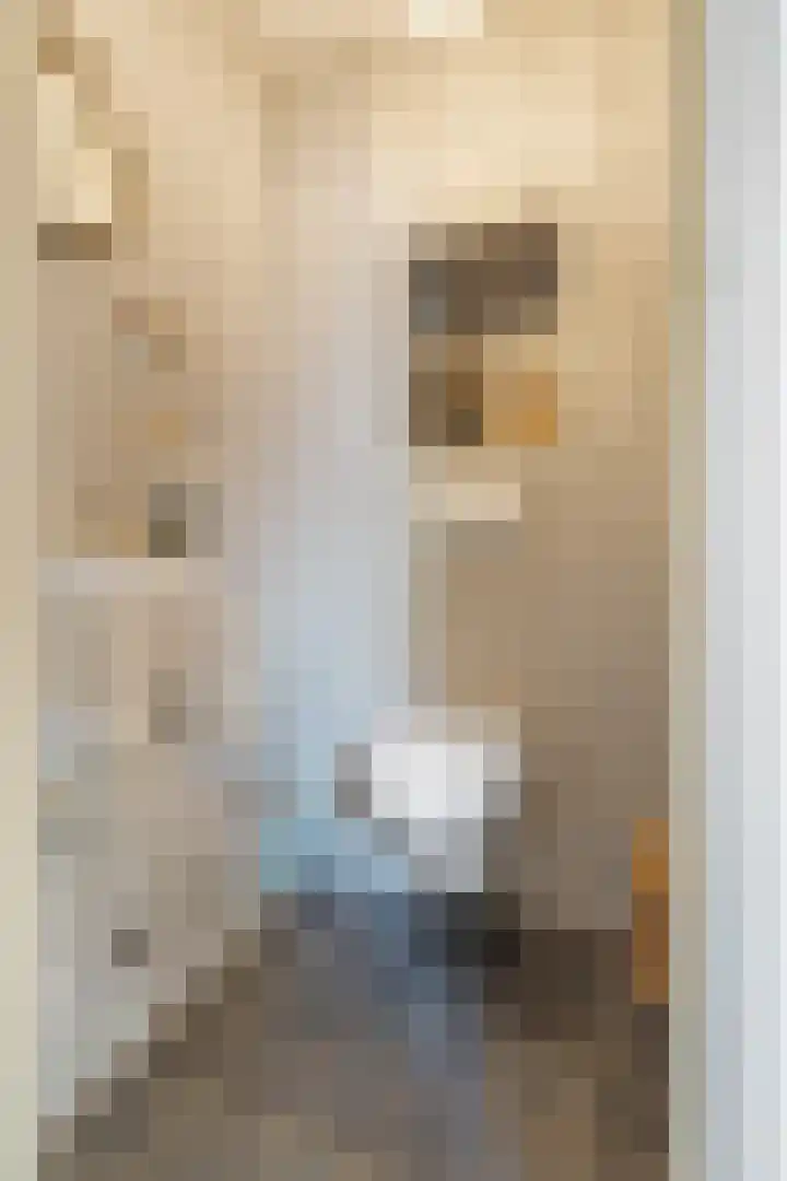 Vrijheidstraat 3 Oosterhout thumbnail 6