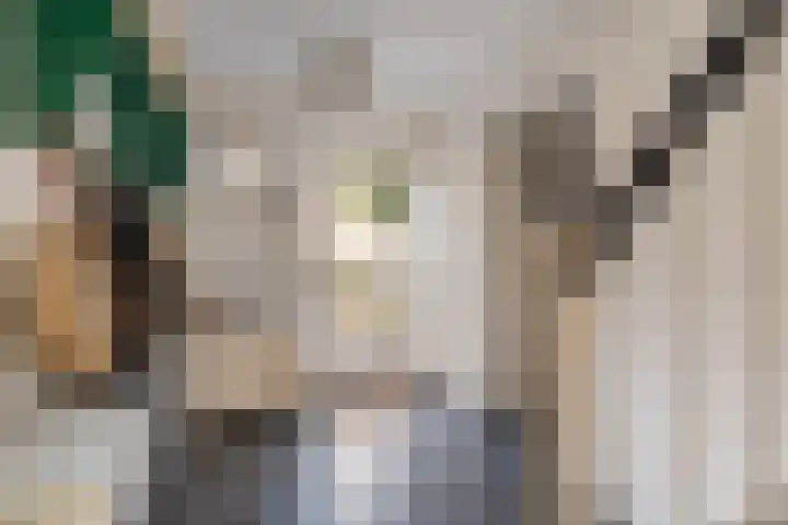 Vrijheidstraat 3 Oosterhout thumbnail 7