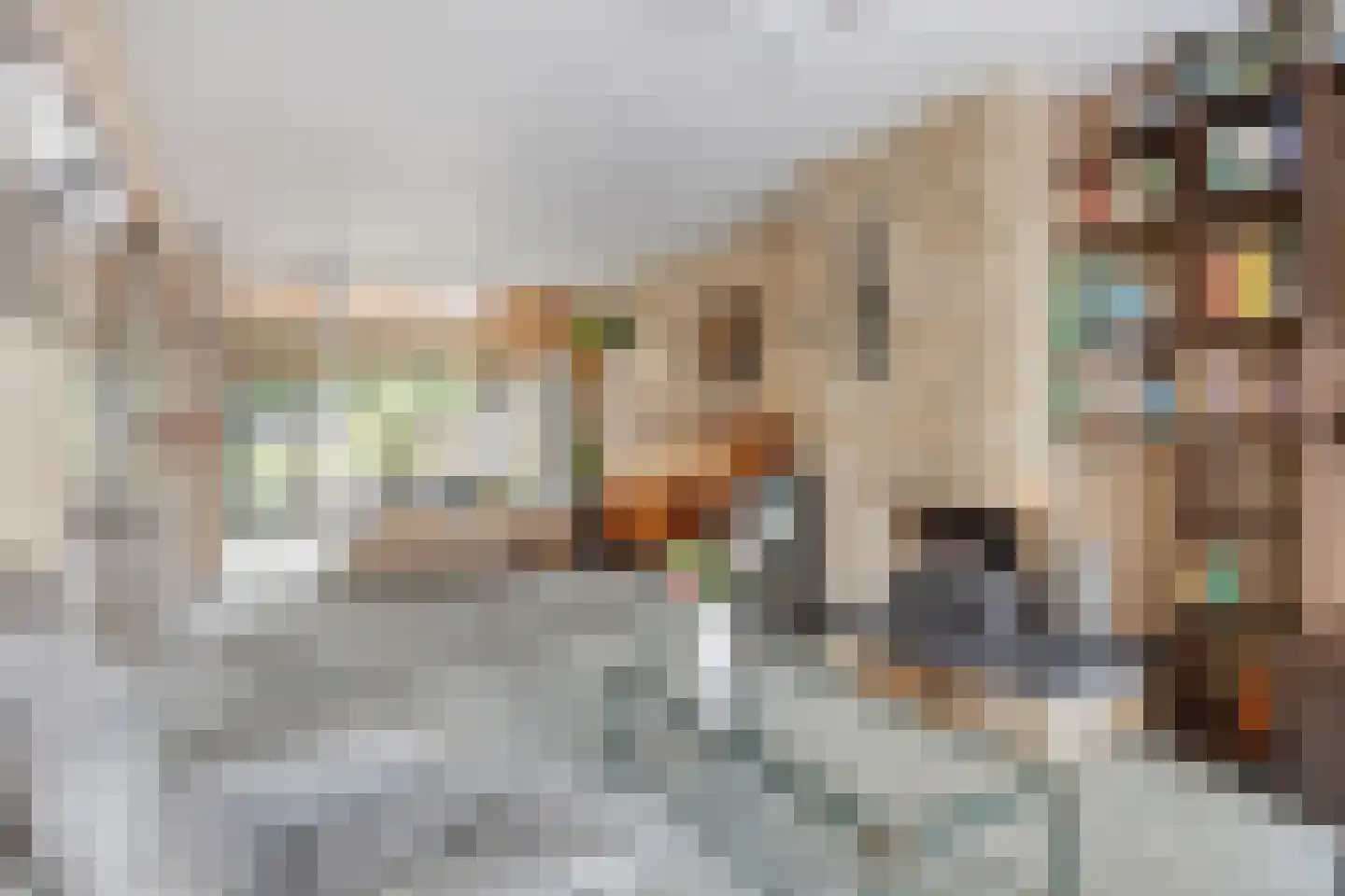 Vrijheidstraat 33 Oosterhout thumbnail 4