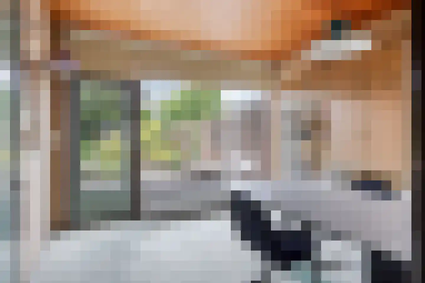 Vrijheidstraat 33 Oosterhout thumbnail 7