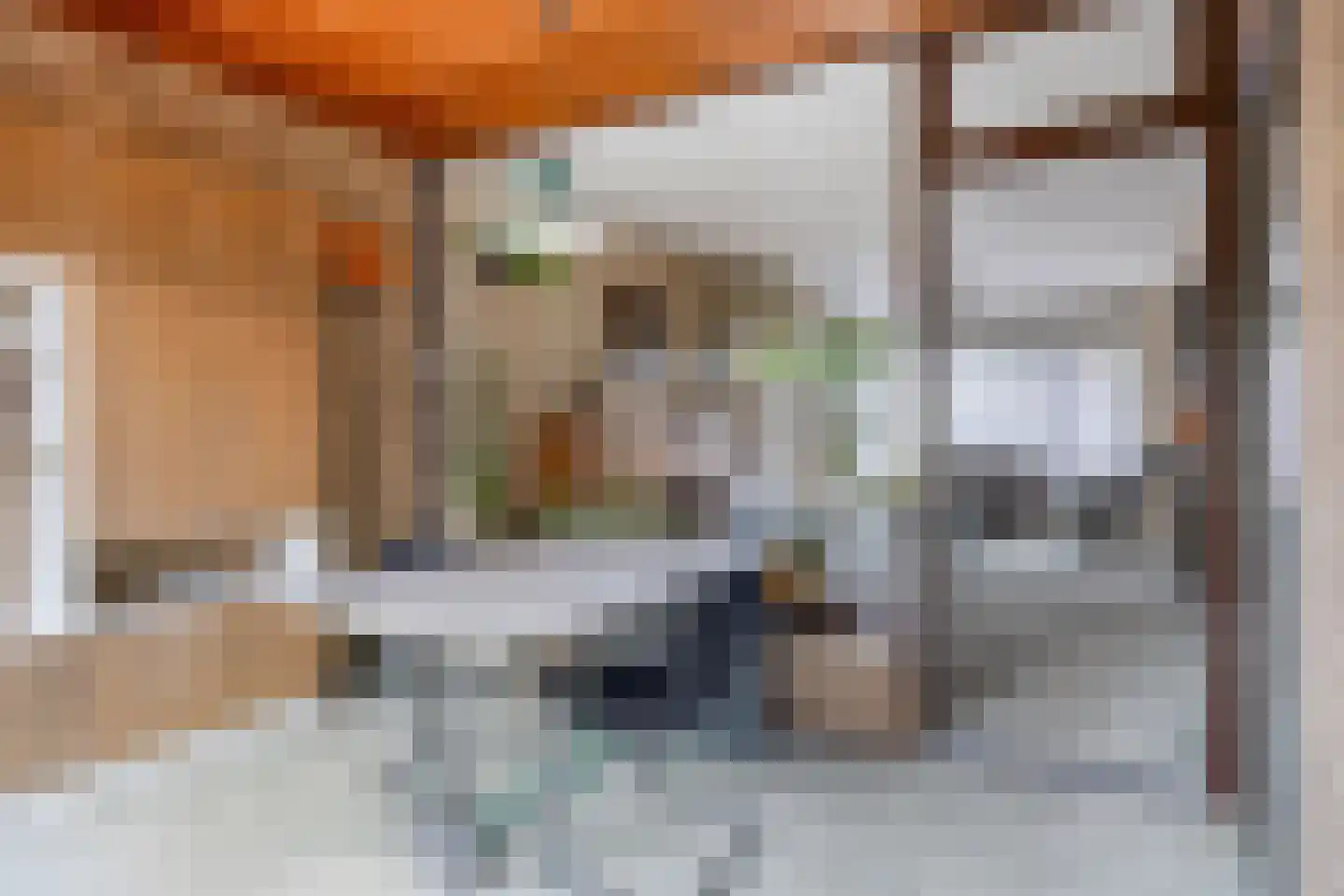 Vrijheidstraat 33 Oosterhout thumbnail 8