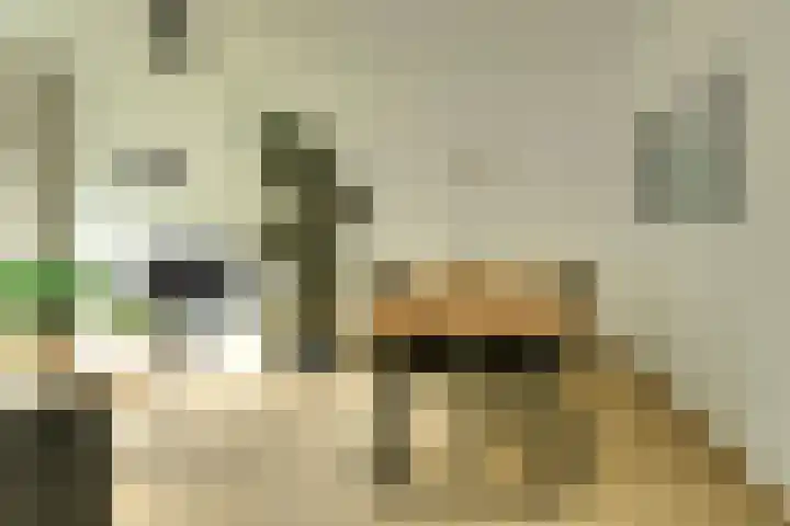 Vrijheidstraat 34 Oosterhout thumbnail 11