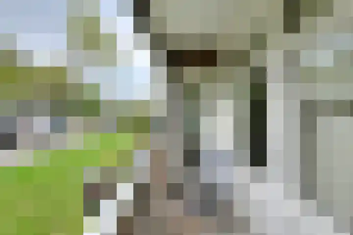 Vrijheidstraat 34 Oosterhout thumbnail 16