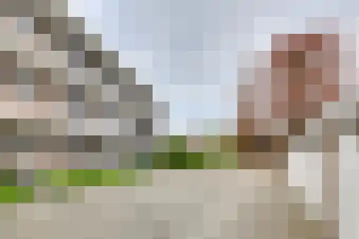 Vrijheidstraat 34 Oosterhout thumbnail 32