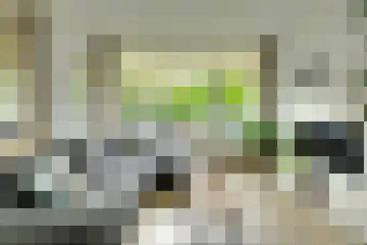 Vrijheidstraat 34 Oosterhout thumbnail 4
