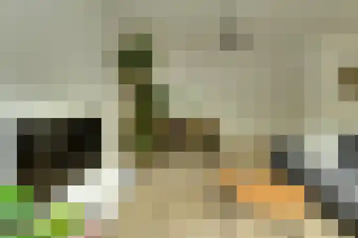 Vrijheidstraat 34 Oosterhout thumbnail 7