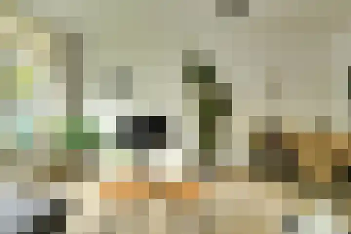 Vrijheidstraat 34 Oosterhout thumbnail 8