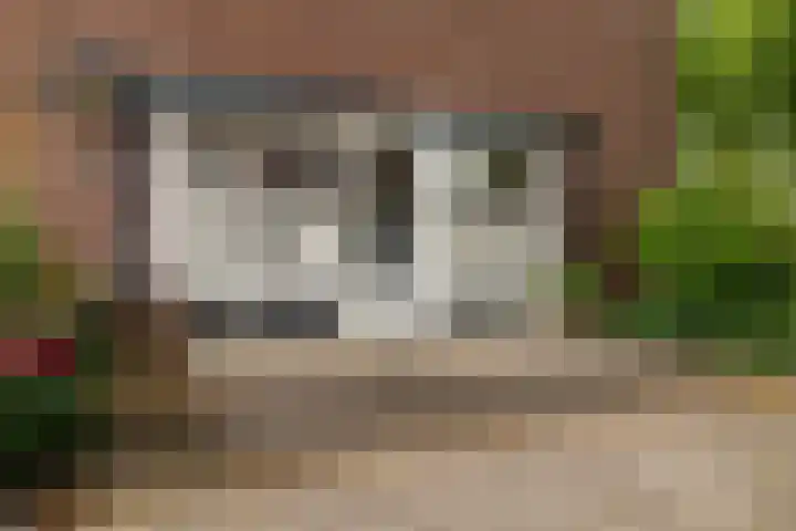 Vrijheidstraat 59 Oosterhout thumbnail 4