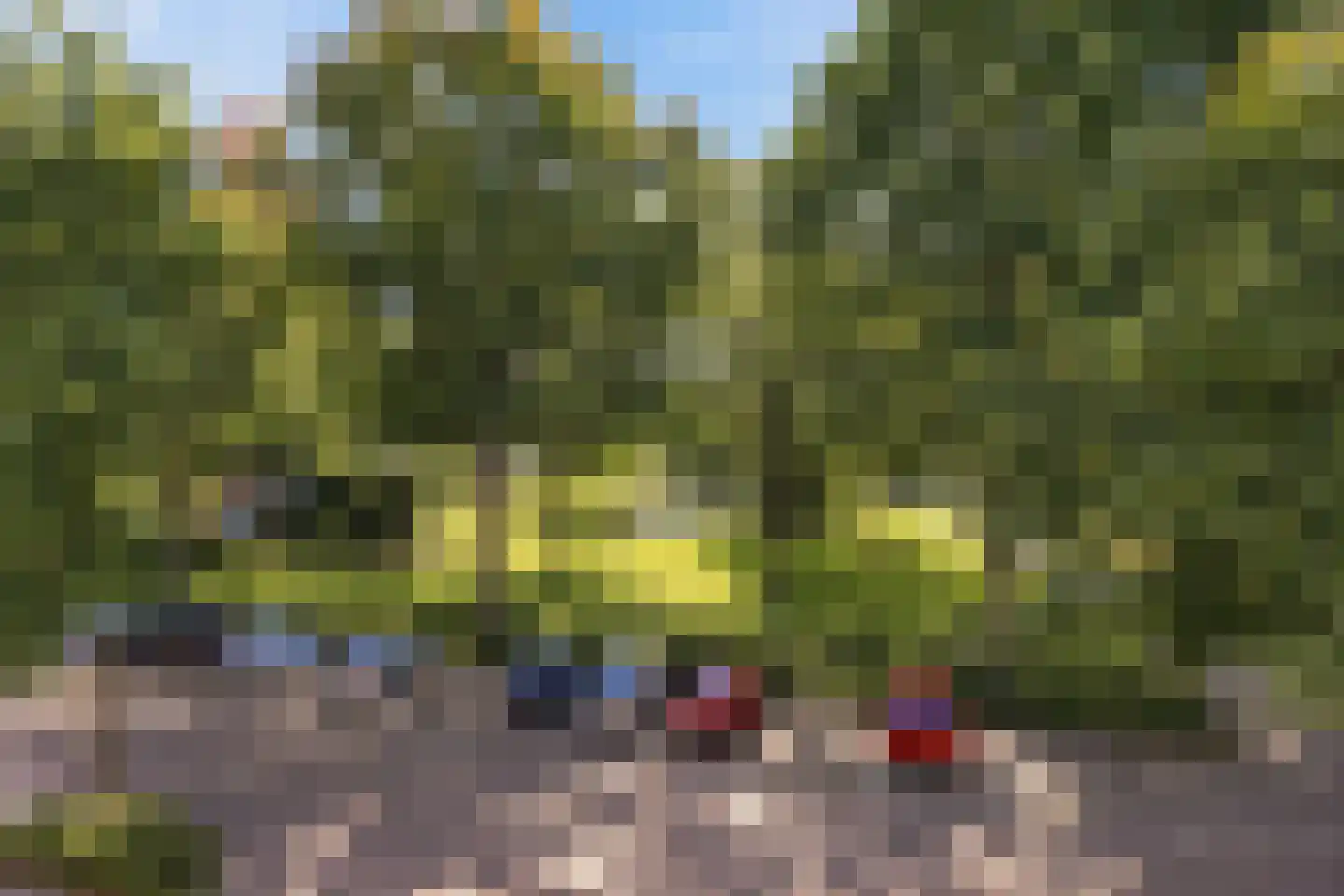Vrijheidstraat 69 Oosterhout thumbnail 40