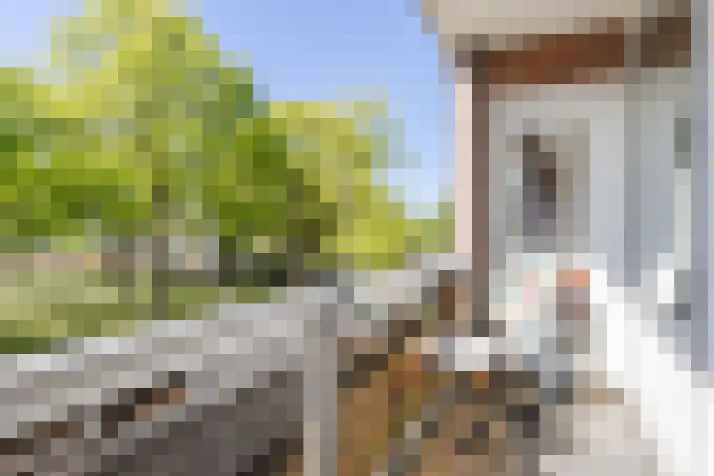 Vrijheidstraat 75 Oosterhout thumbnail 16