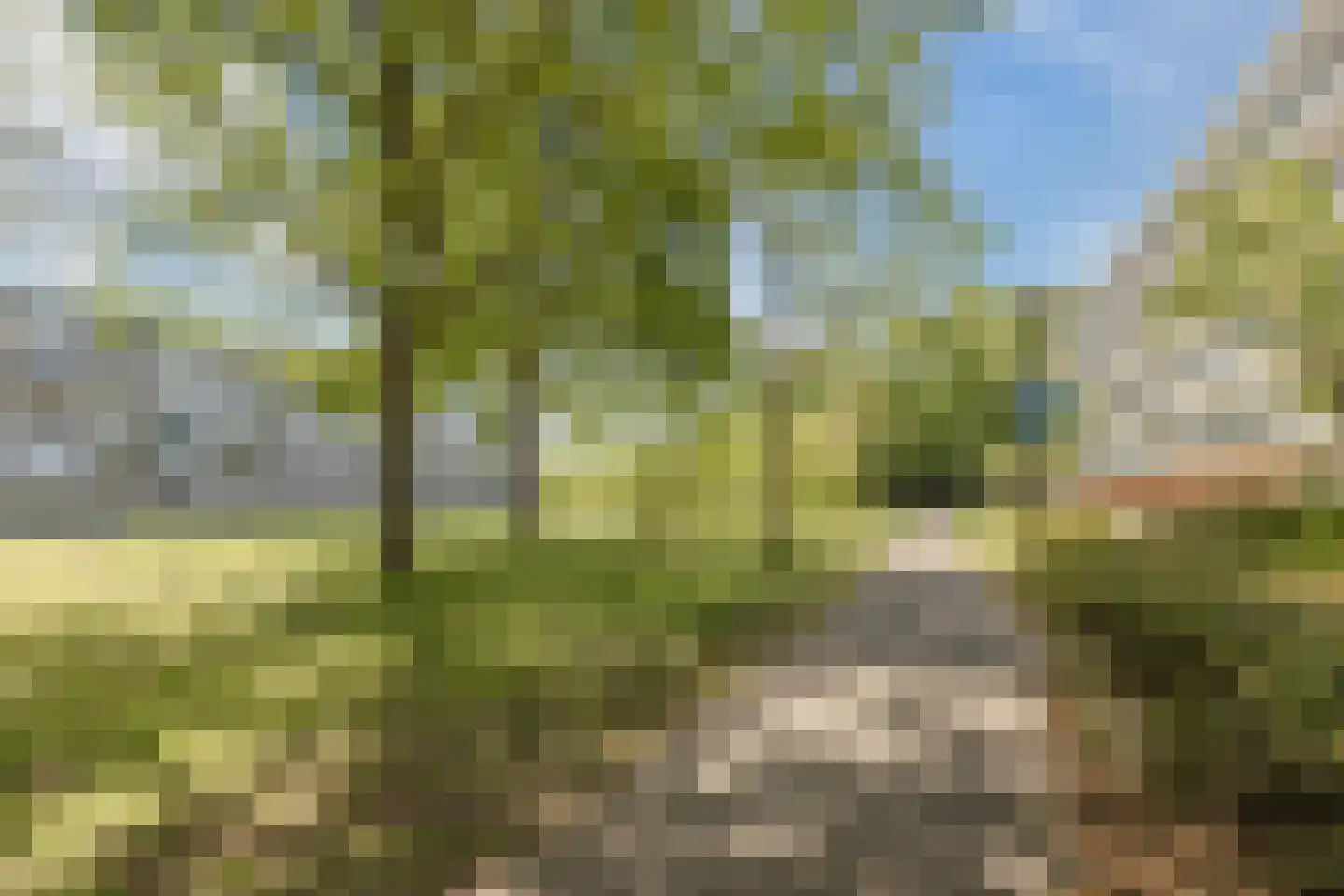 Vrijheidstraat 75 Oosterhout thumbnail 22
