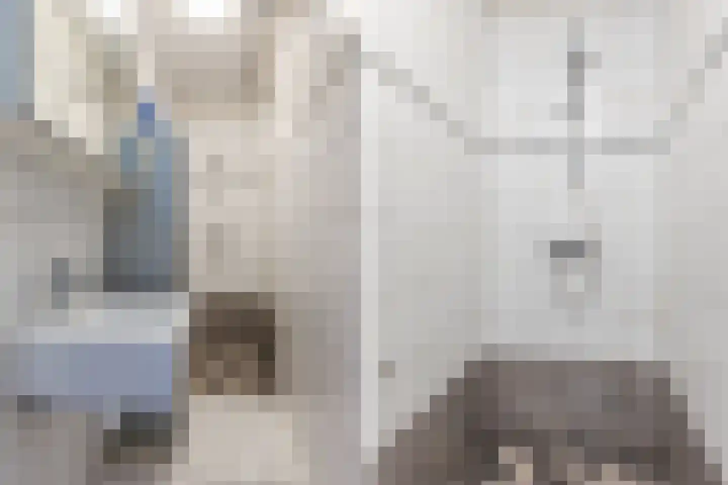 Vrijheidstraat 75 Oosterhout thumbnail 9