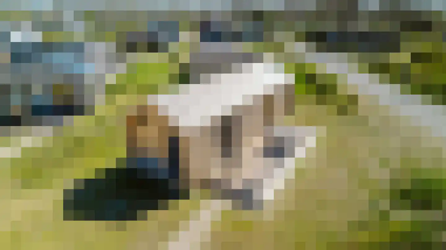 Vrijheidsweg 1 308 Ouddorp